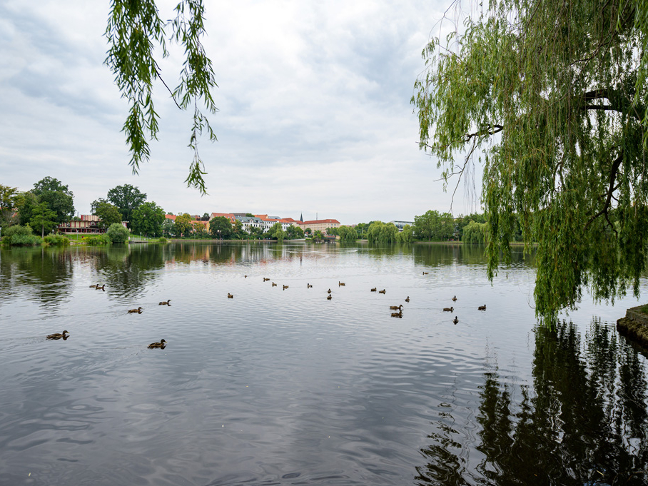 Am Gotthardteich in der Nähe des Merseburger Stadtzentrums könnt Ihr alle fünf gerade sein lassen, spazieren, chillen oder angeln.