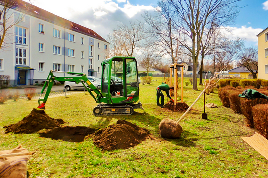 Neupflanzung von Spitzahorn und Hainbuchen im TAG Wohnen Quartier in Merseburg-Nord bei bestem Frühlingswetter