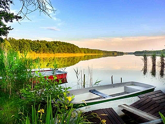 Ruderboote auf großem See mit Waldkante bei Bestensee