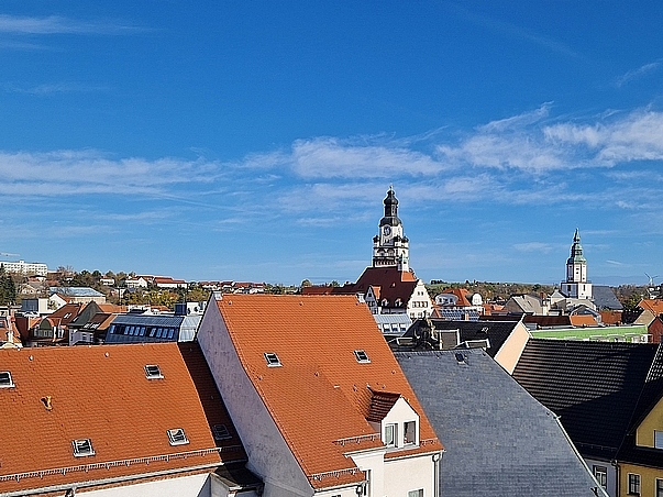 Ausblick auf die Dächer der Innenstadt von Döbeln mit blauem Himmel