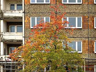 Sanierung Wohngebäude Greifswald Makarenkostraße