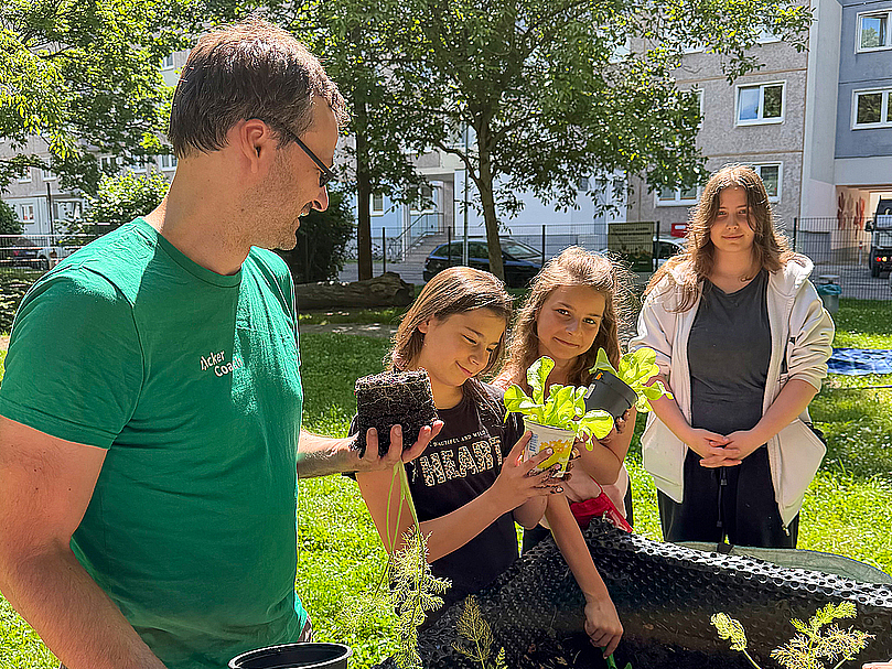 Ackercoach Dirk Fehse zeigt Kindern von Jumpers am Hochbeet wie Salat und andere Jungpflanzen eingesetzt werden. 