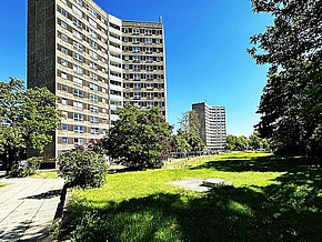 Denkmalgeschützte Y-Häuser in Dessau