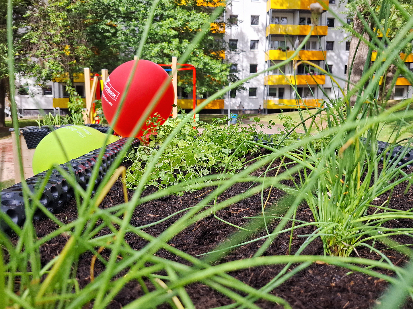 Bepflanztes Hochbeet zum Auftakt der Gartensaison in Chemnitz Kappel Ein bepflanztes Hochbeet im Innenhof im Quartier in Chemnitz Kappel
