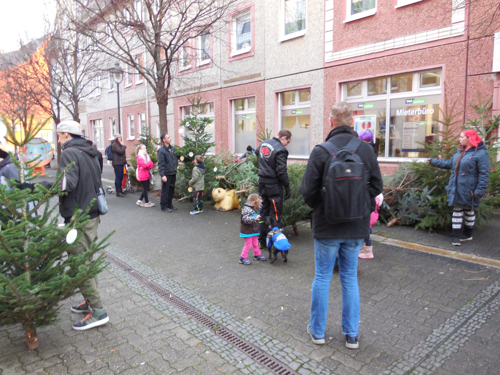 170 Tannenbäume schmückten in diesem Jahr Döbelns Innenstadt und den 157. Döbelner Weihnachtsmarkt.