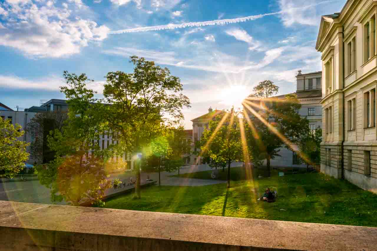 Sonniges Bild des begrünten Universitätsplatzes in Halle