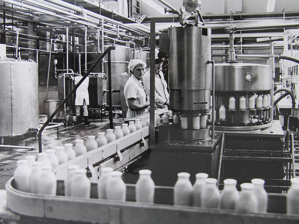 Eine historische Aufnahme von Mitarbeitern der Produktion, die am Fließband des modernen VEB Milchhof in der Industriestraße in Gera arbeiten.